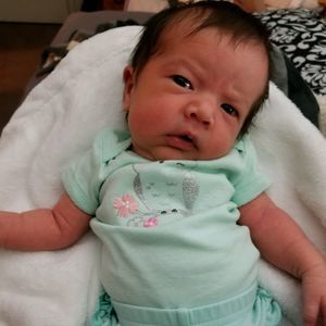 Meet your Posher, Wyatt